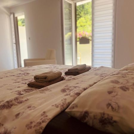 Zeleni Dvor Bed and Breakfast Ribarska Banja Eksteriør billede