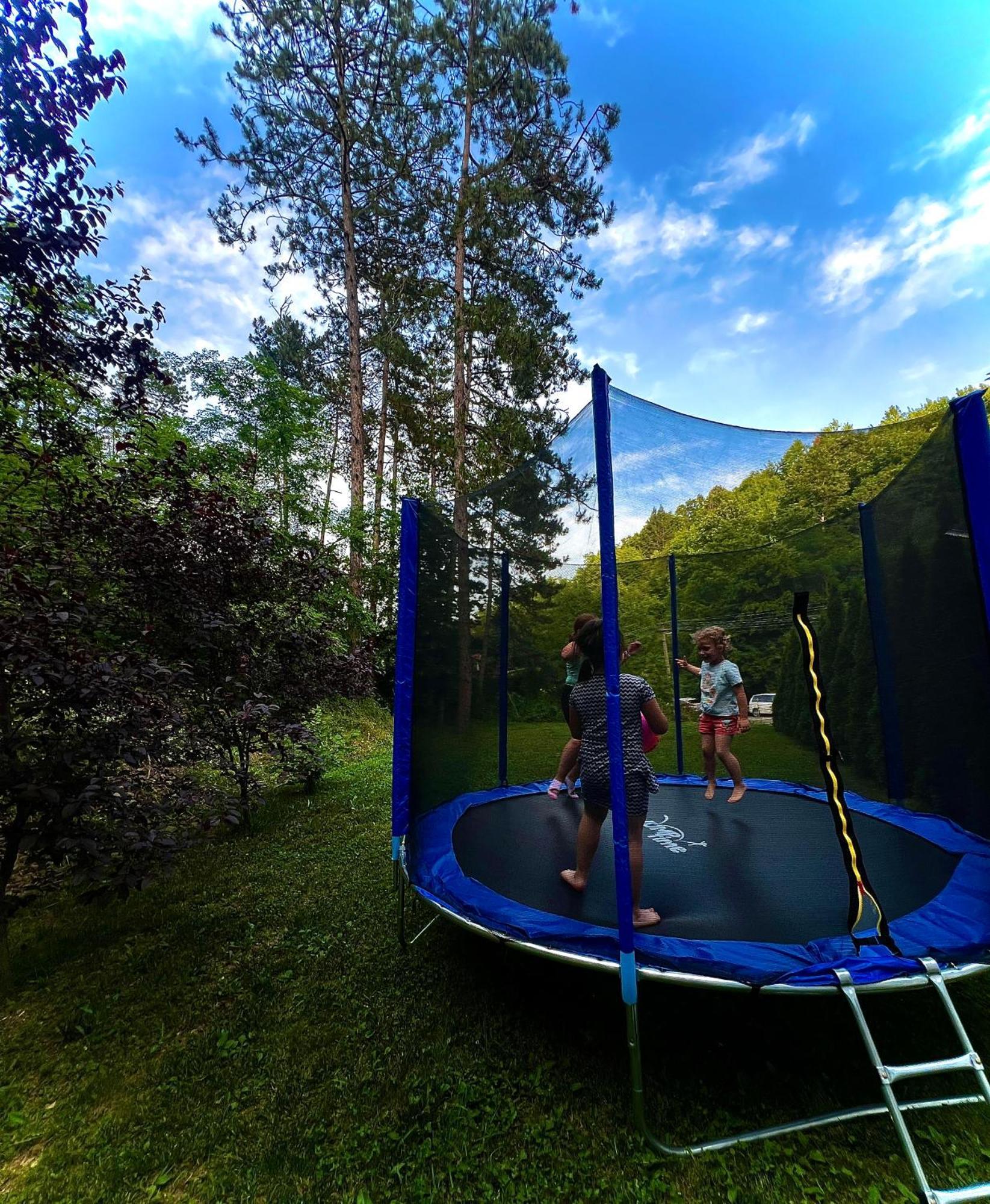 Zeleni Dvor Bed and Breakfast Ribarska Banja Eksteriør billede